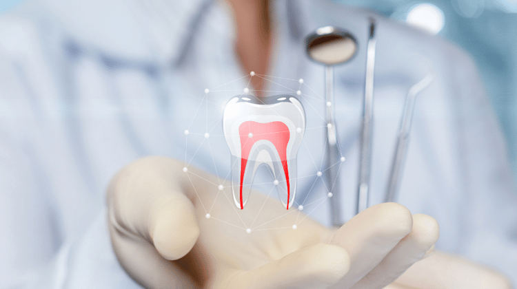 dental 