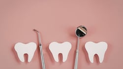 Dental mirror and scaler placed beside three tooth shapes illustrating the dental tooth map and tooth numbering concept.