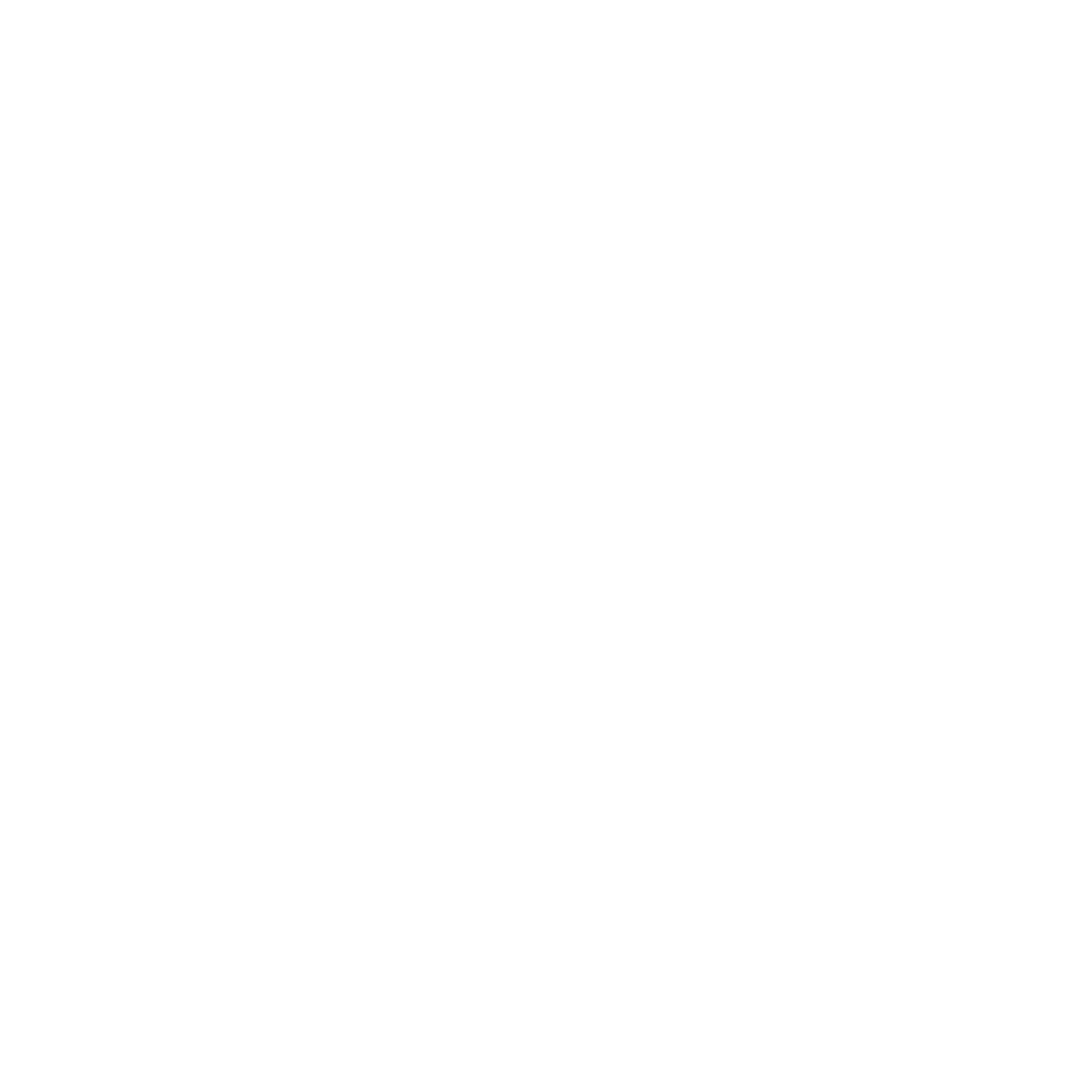 Check Mark Icon