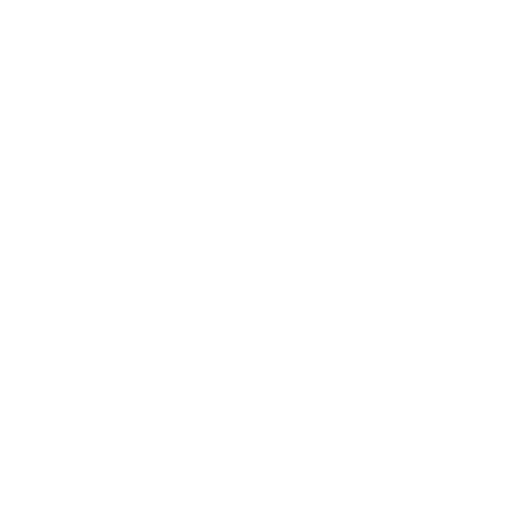 Partner Icon